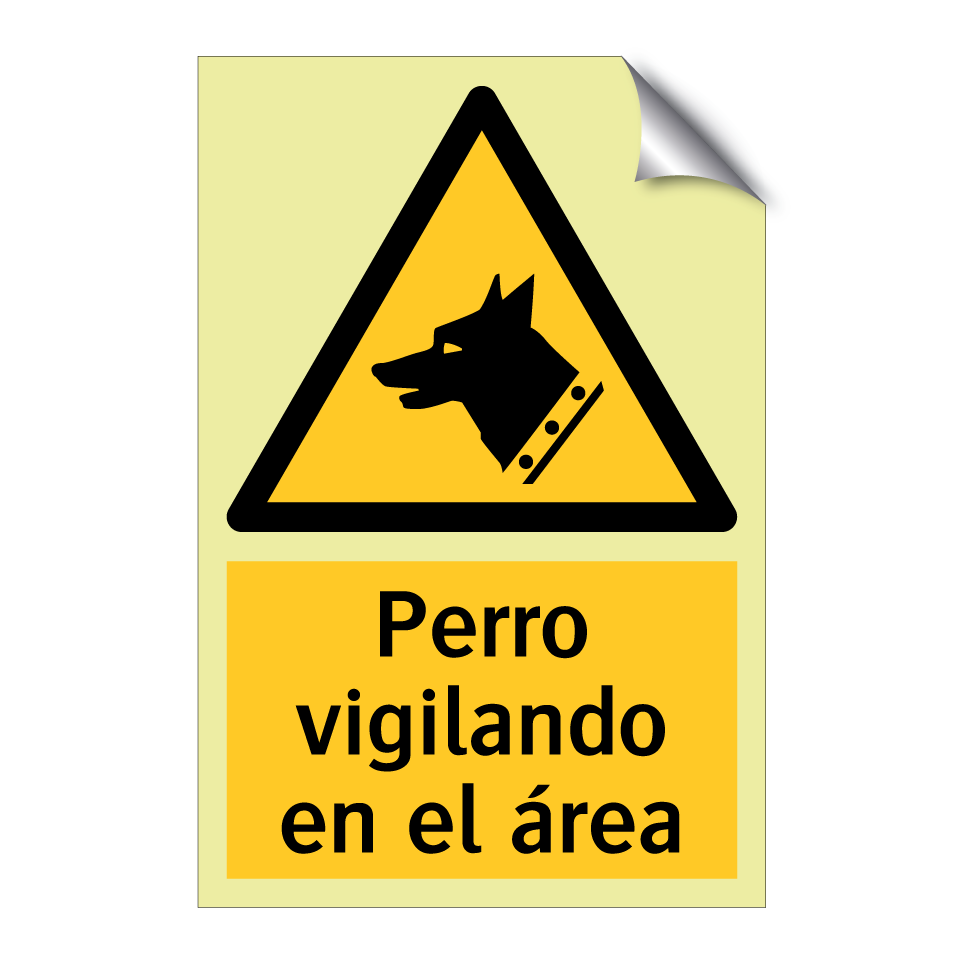 Perro vigilando en el área