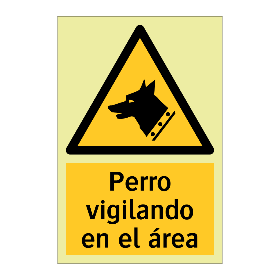 Perro vigilando en el área