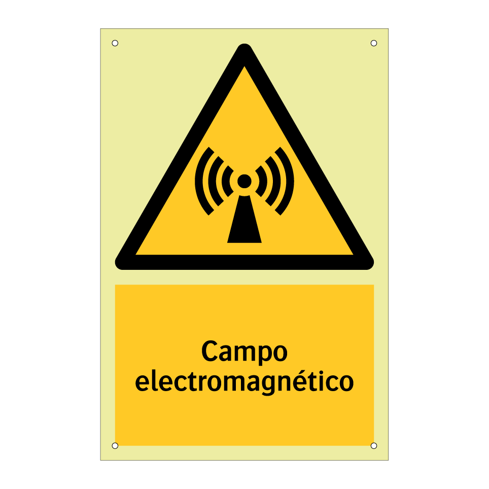 Campo electromagnético