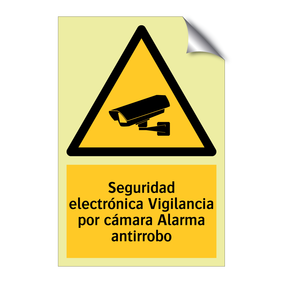 Seguridad electrónica Vigilancia por cámara Alarma antirrobo