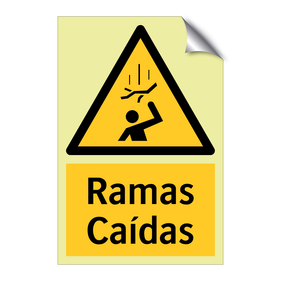Ramas Caídas