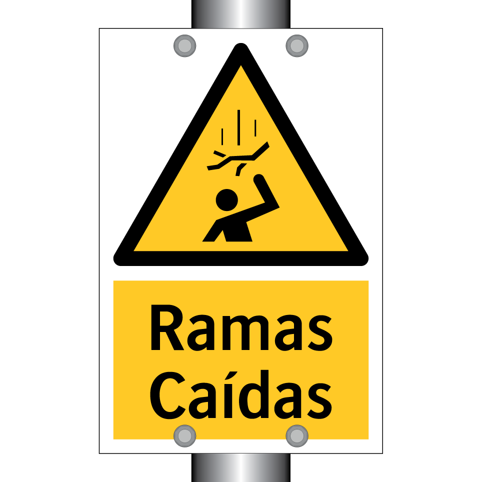 Ramas Caídas