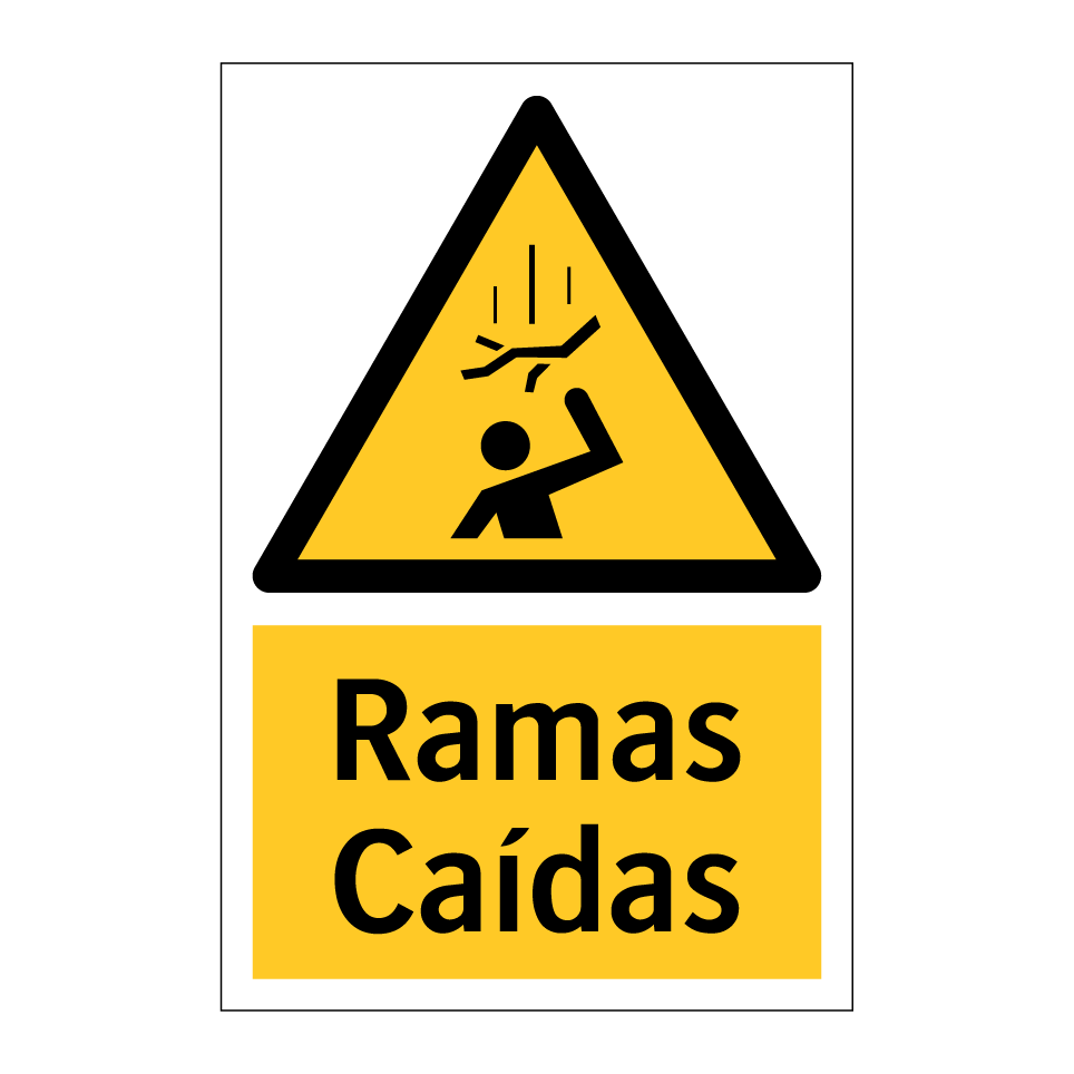 Ramas Caídas