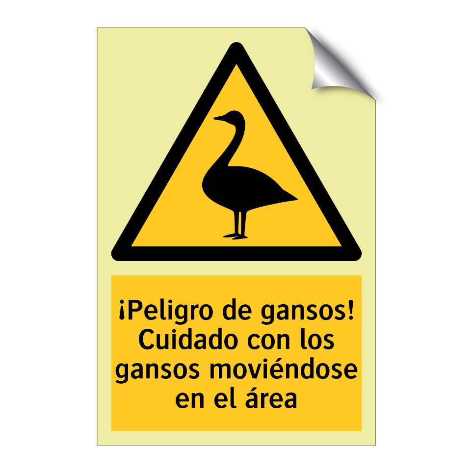 ¡Peligro de gansos! Cuidado con los gansos moviéndose en el área