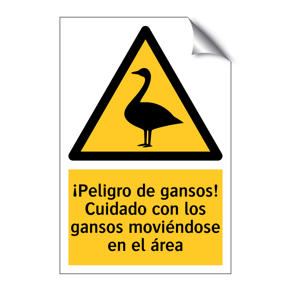 ¡Peligro de gansos! Cuidado con los gansos moviéndose en el área