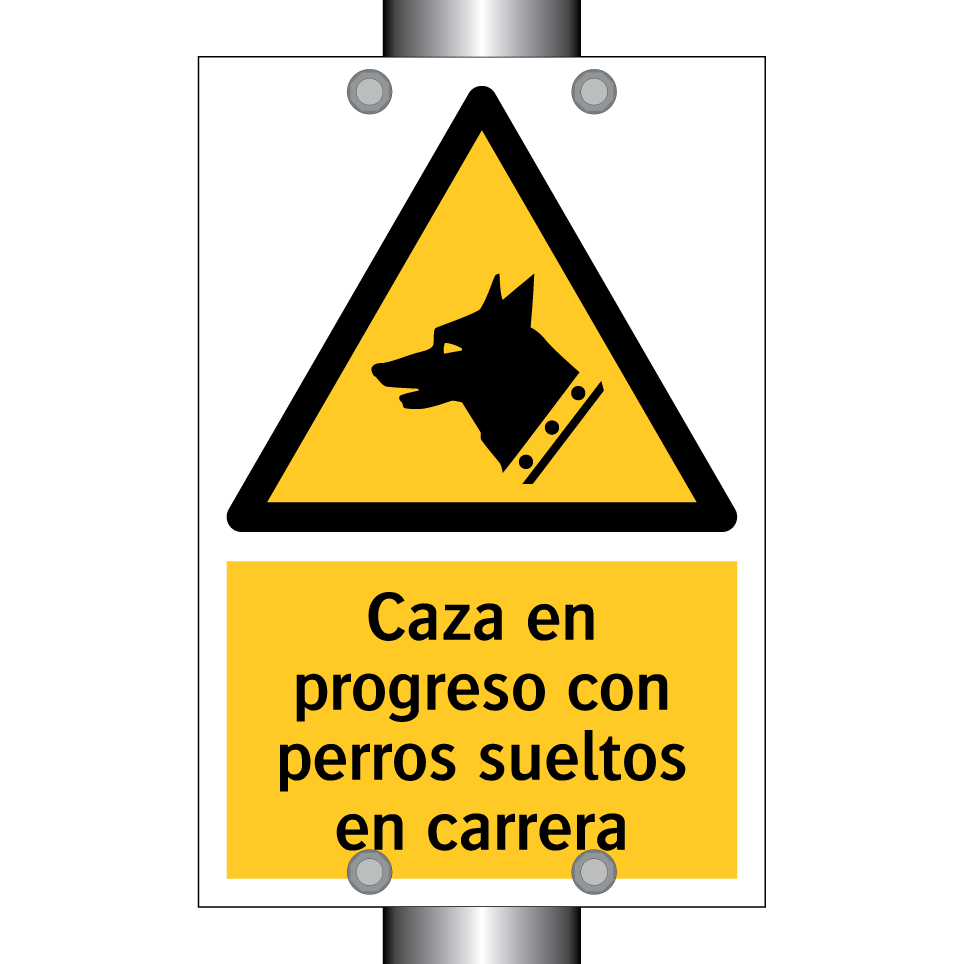 Caza en progreso con perros sueltos en carrera