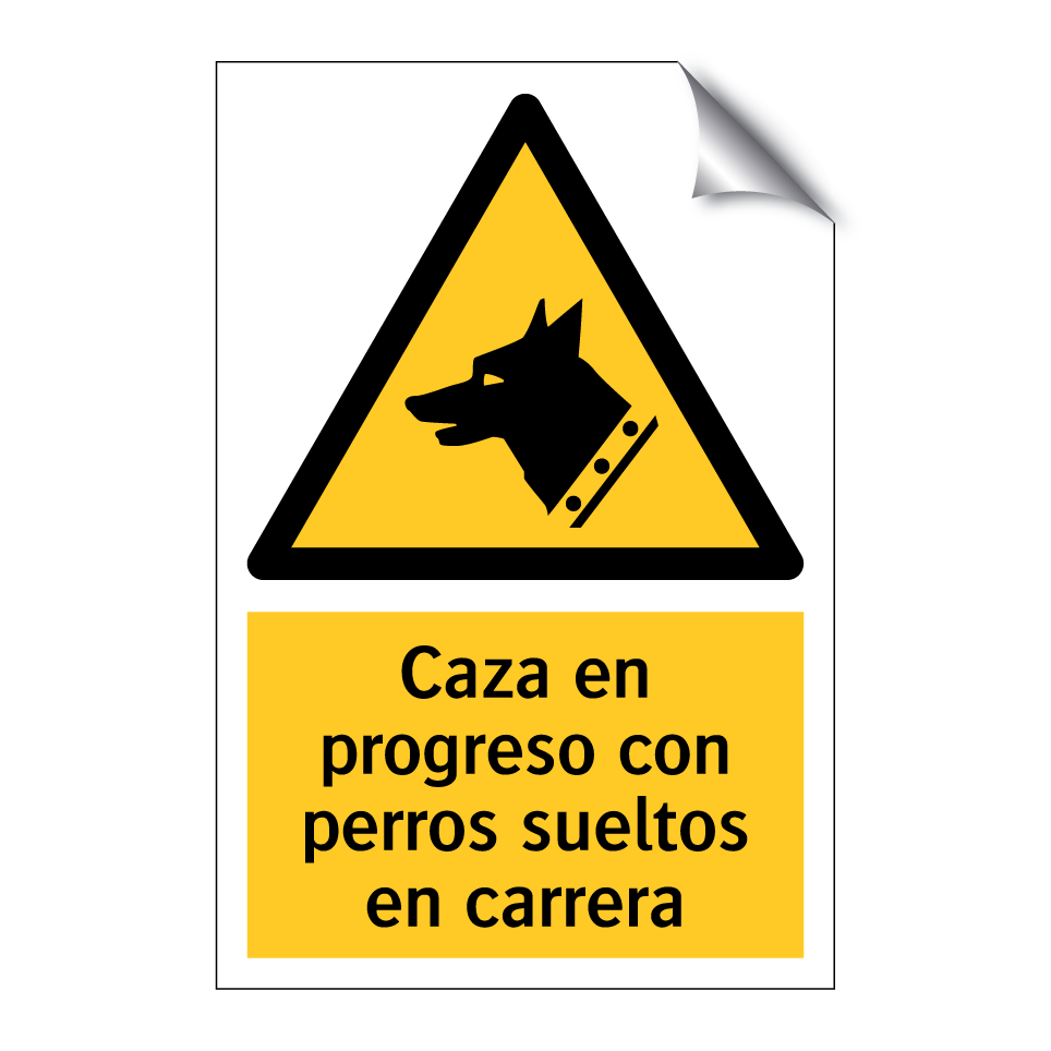 Caza en progreso con perros sueltos en carrera
