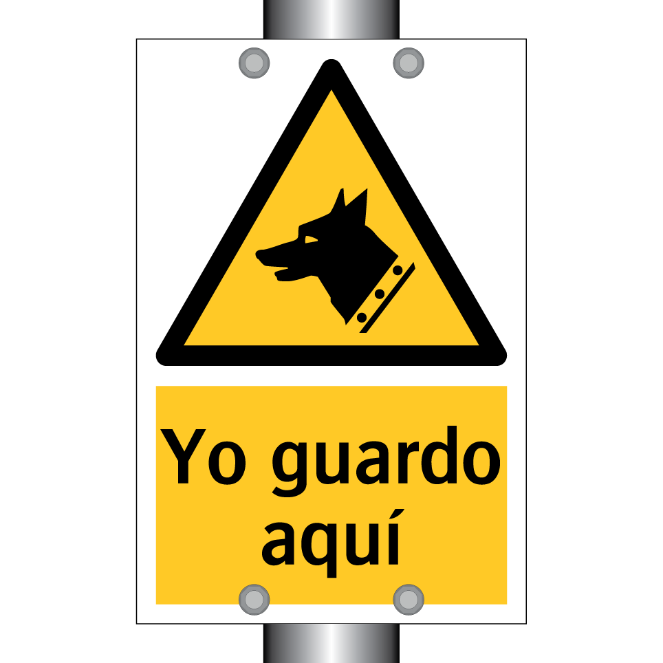 Yo guardo aquí