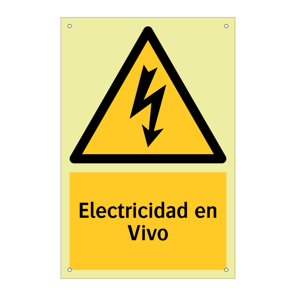 Electricidad en Vivo
