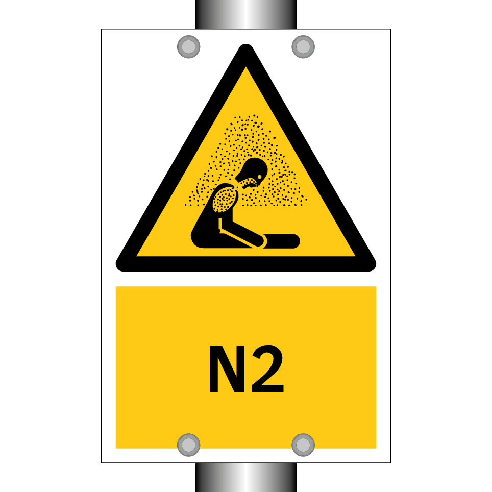 N2