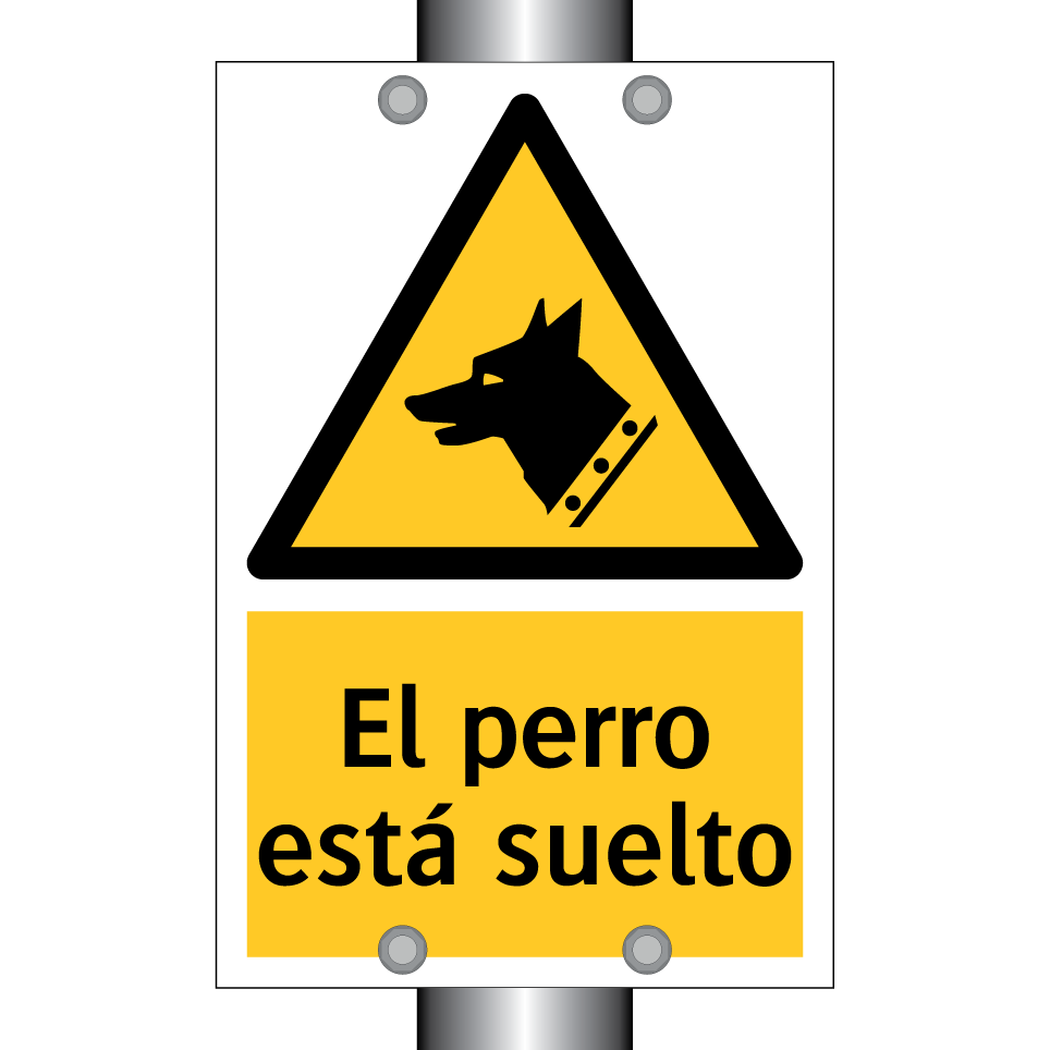 El perro está suelto