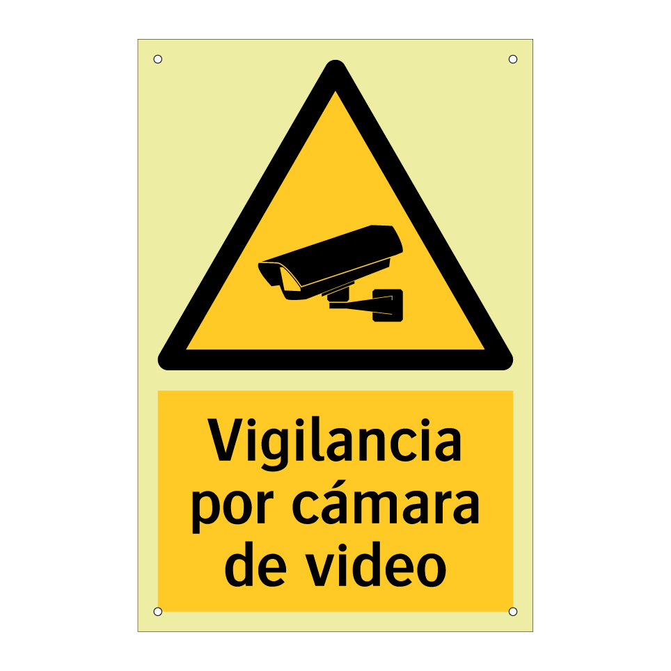 Vigilancia por cámara de video