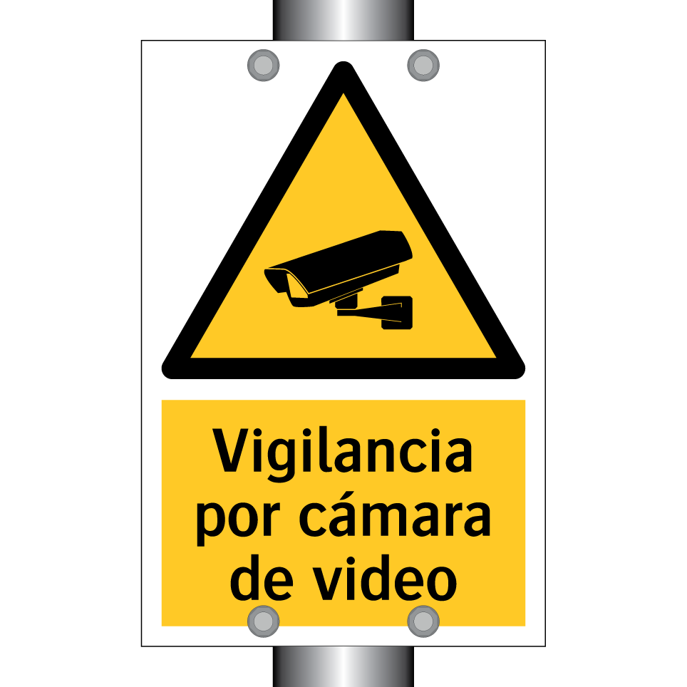 Vigilancia por cámara de video