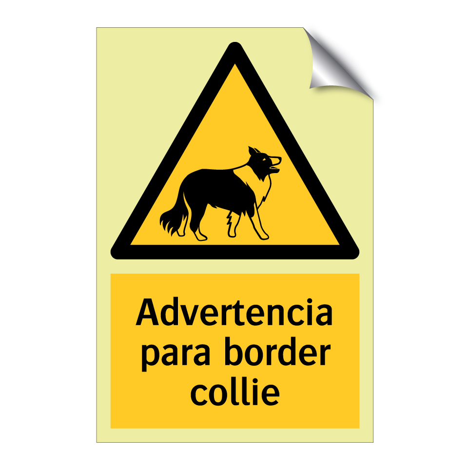 Advertencia para border collie