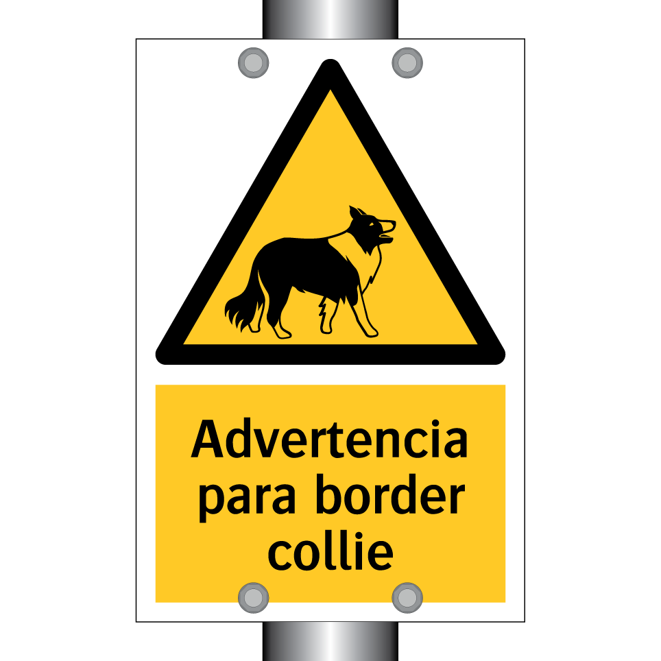 Advertencia para border collie