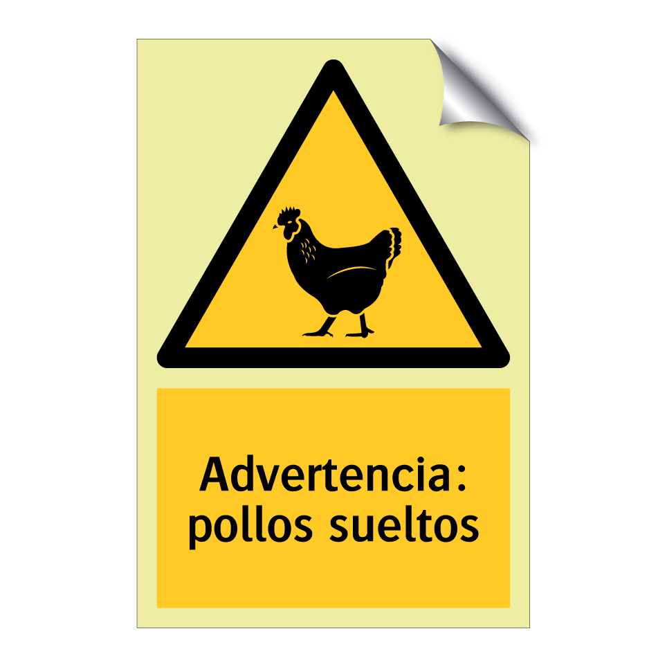 Advertencia: pollos sueltos