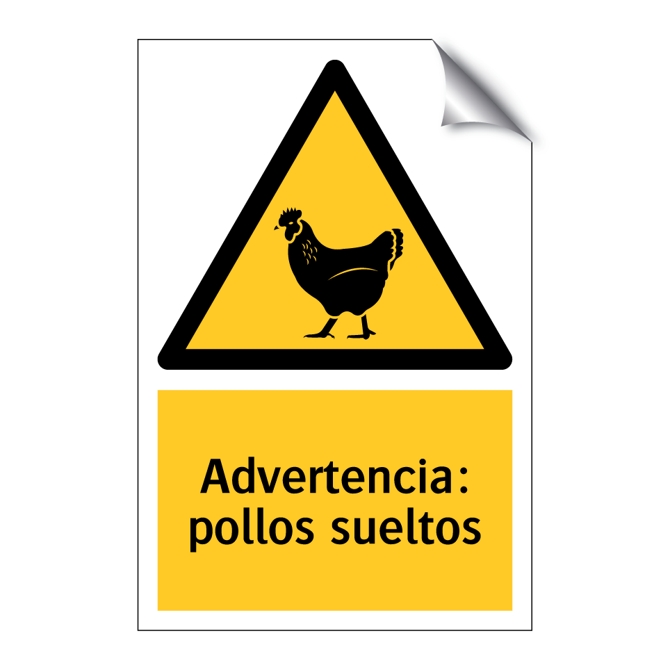 Advertencia: pollos sueltos