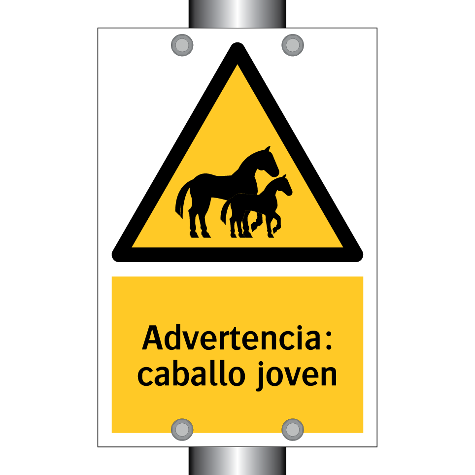 Advertencia: caballo joven