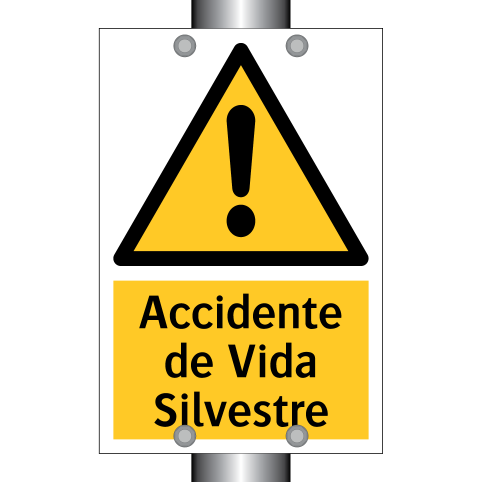 Accidente de Vida Silvestre