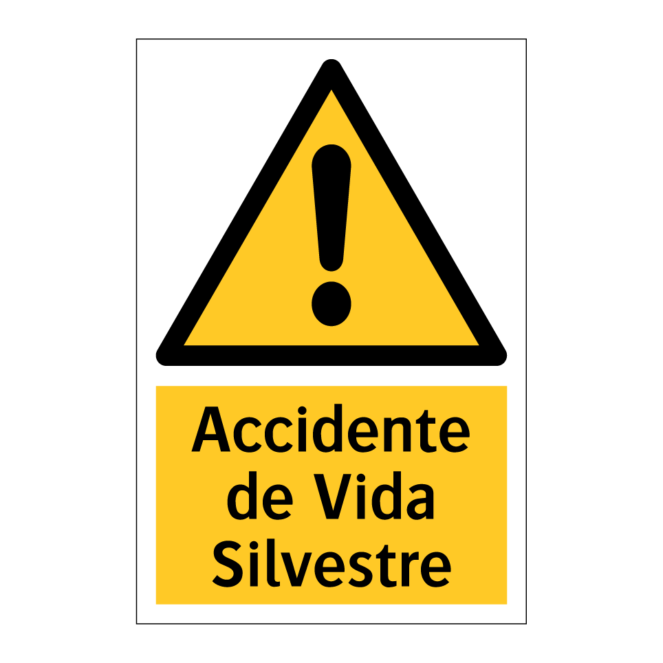 Accidente de Vida Silvestre