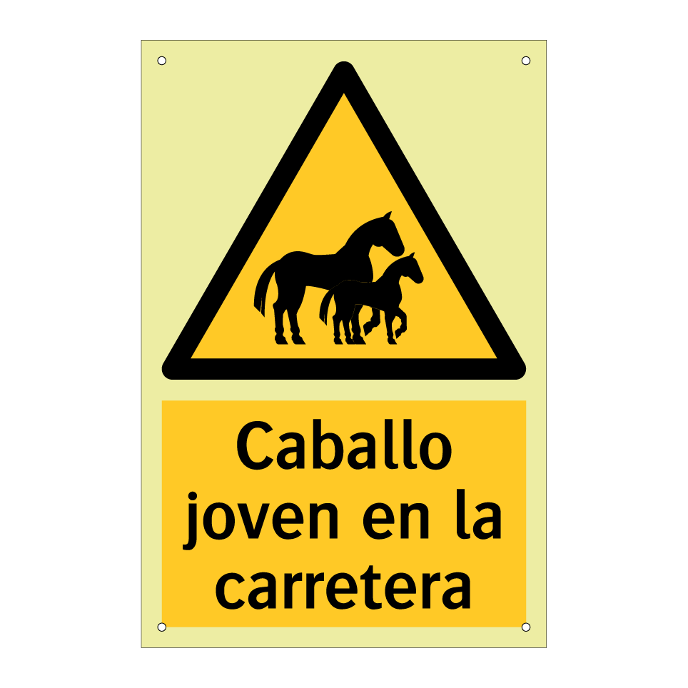 Caballo joven en la carretera