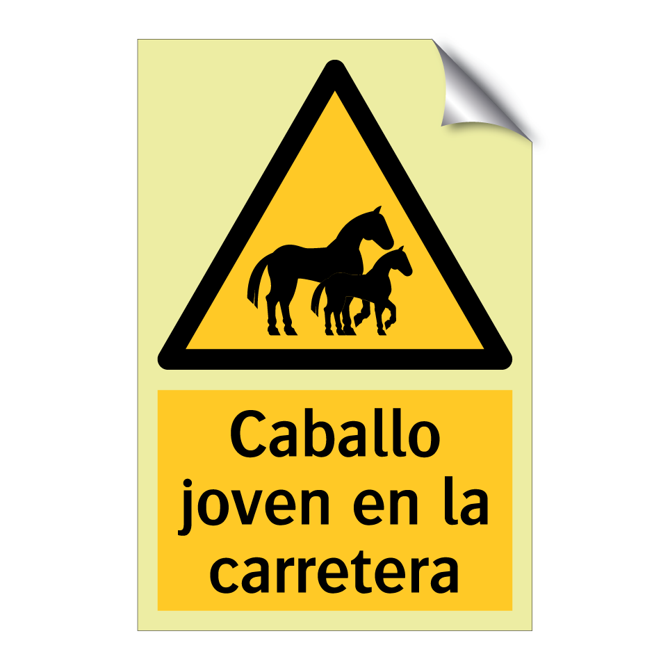 Caballo joven en la carretera
