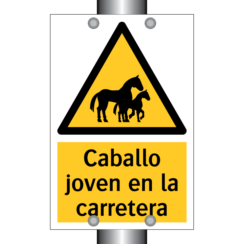 Caballo joven en la carretera
