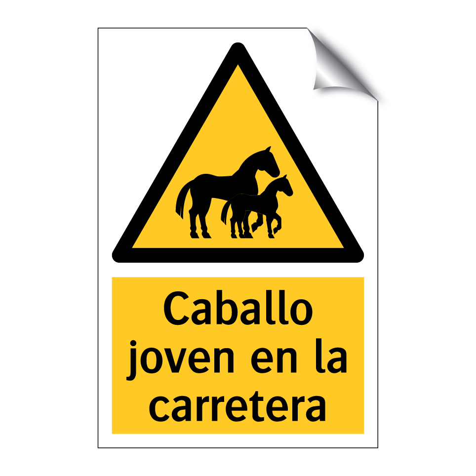 Caballo joven en la carretera