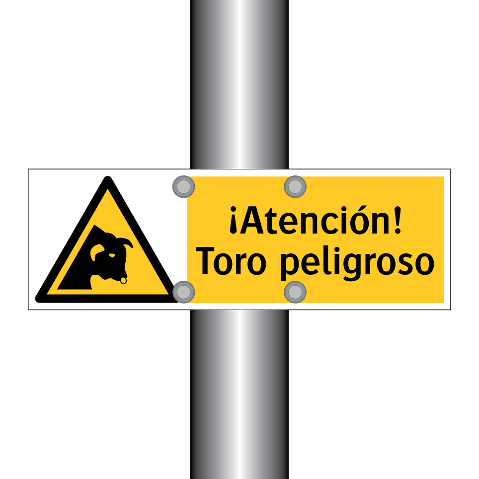 ¡Atención! Toro peligroso