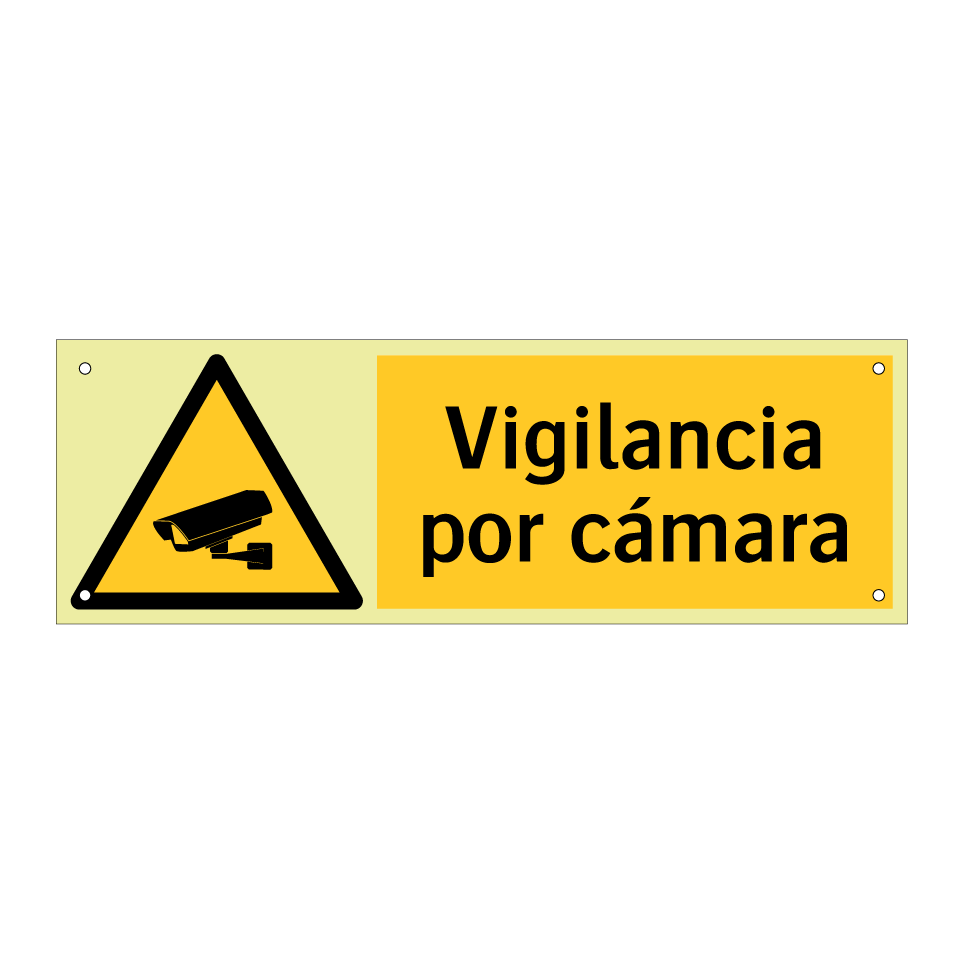 Vigilancia por cámara