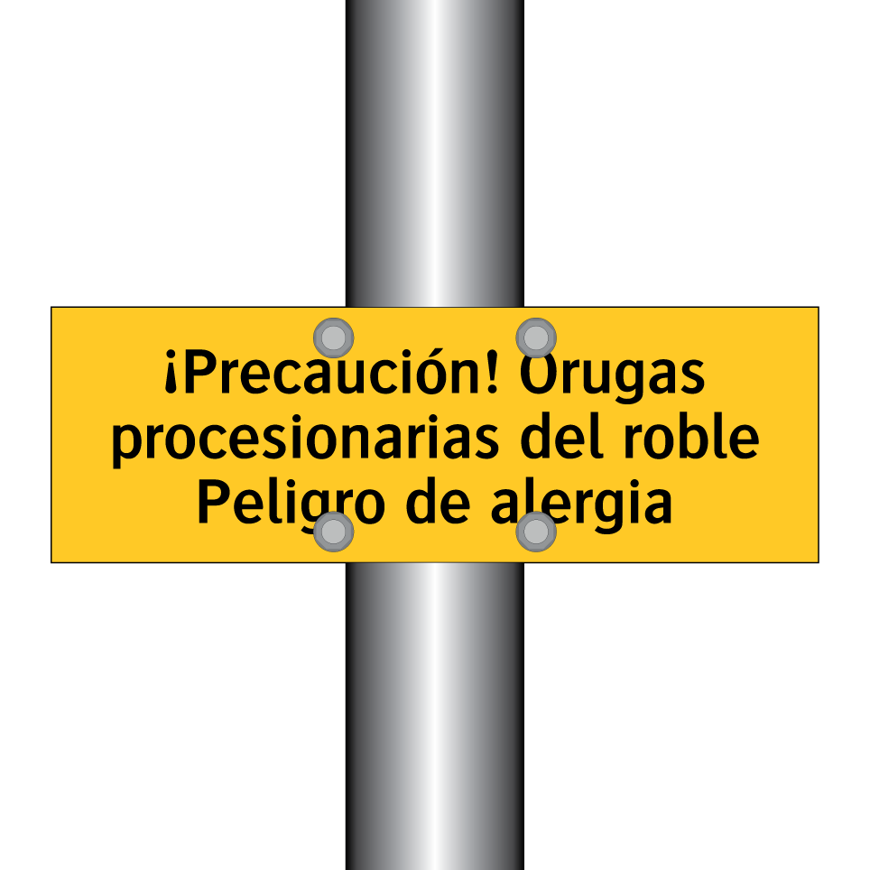 ¡Precaución! Orugas procesionarias del roble Peligro de alergia
