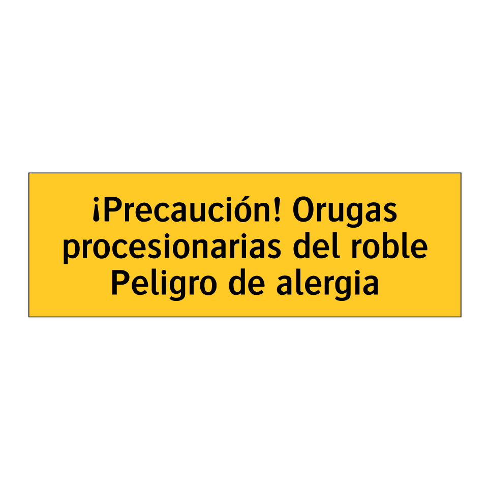 ¡Precaución! Orugas procesionarias del roble Peligro de alergia