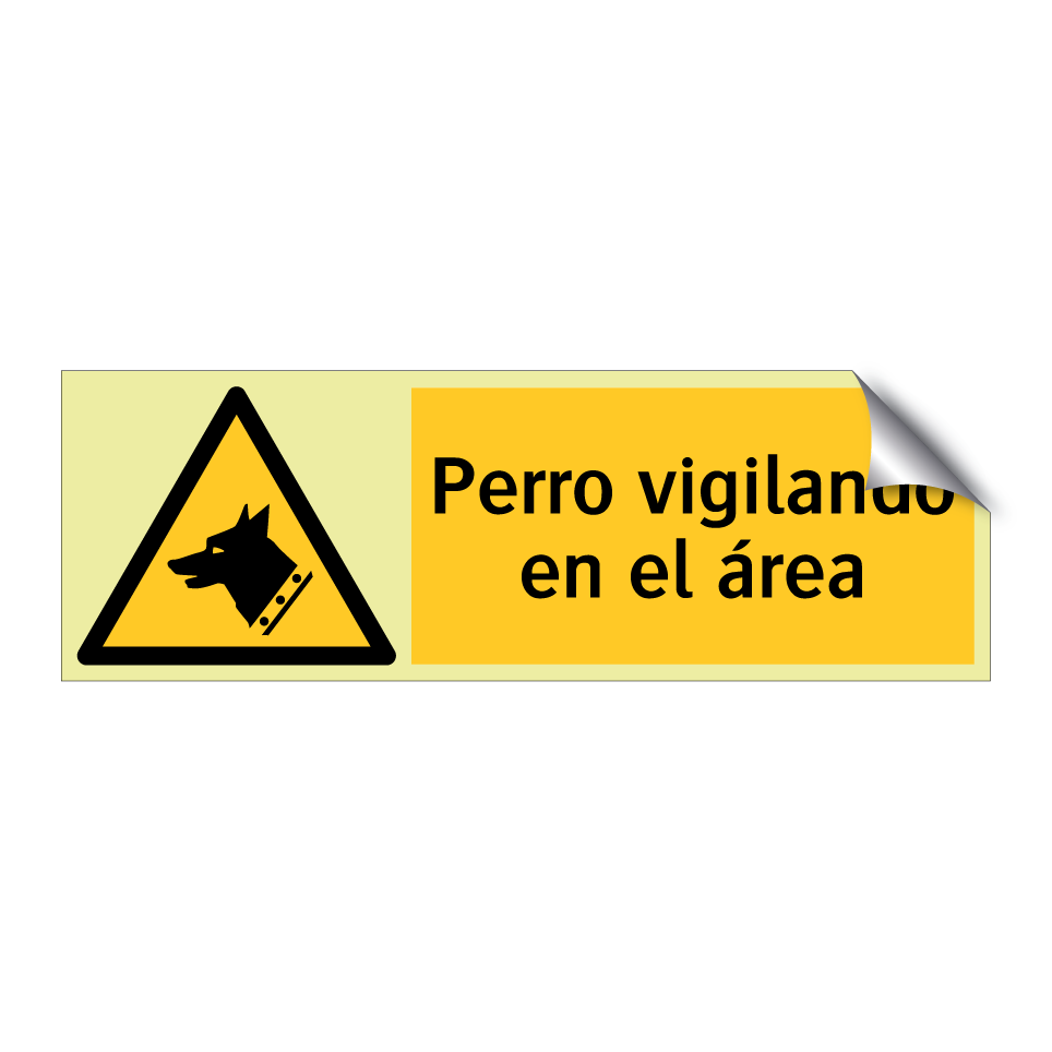 Perro vigilando en el área
