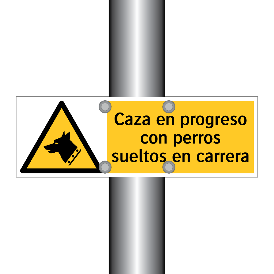Caza en progreso con perros sueltos en carrera