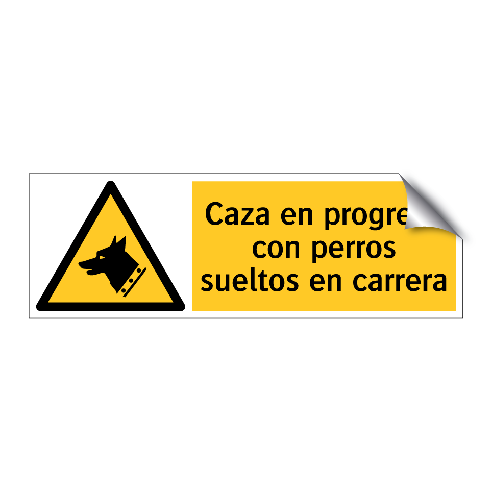 Caza en progreso con perros sueltos en carrera