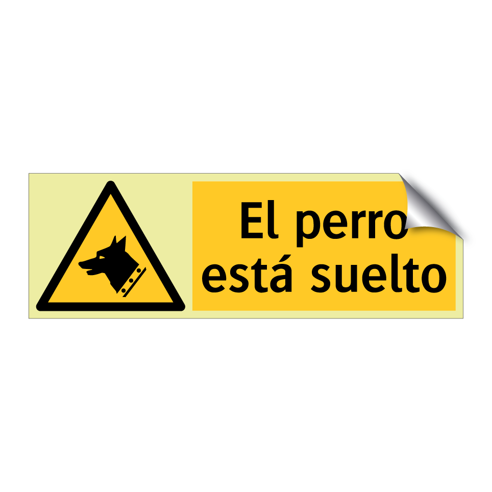 El perro está suelto