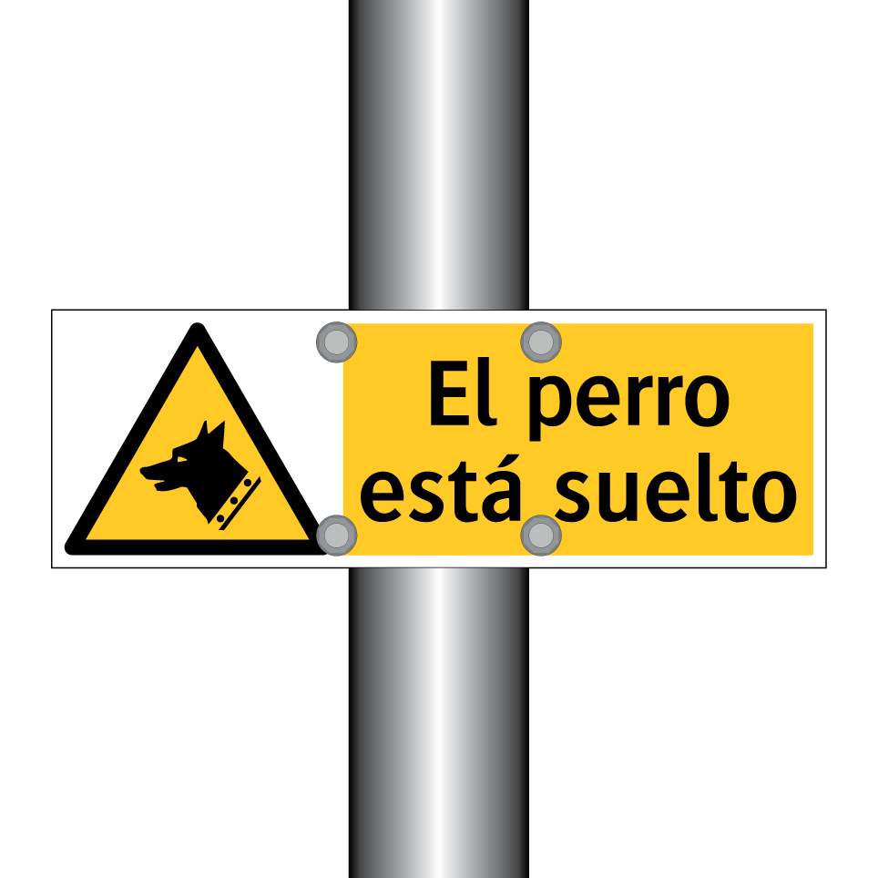 El perro está suelto
