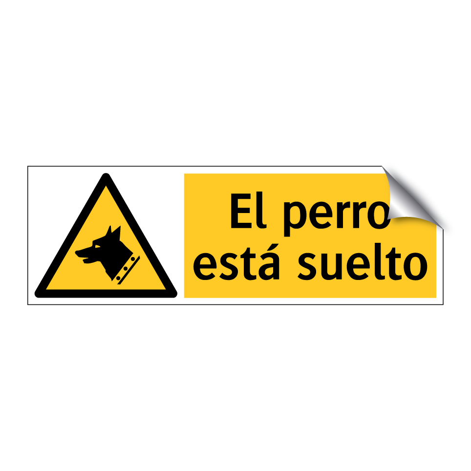 El perro está suelto