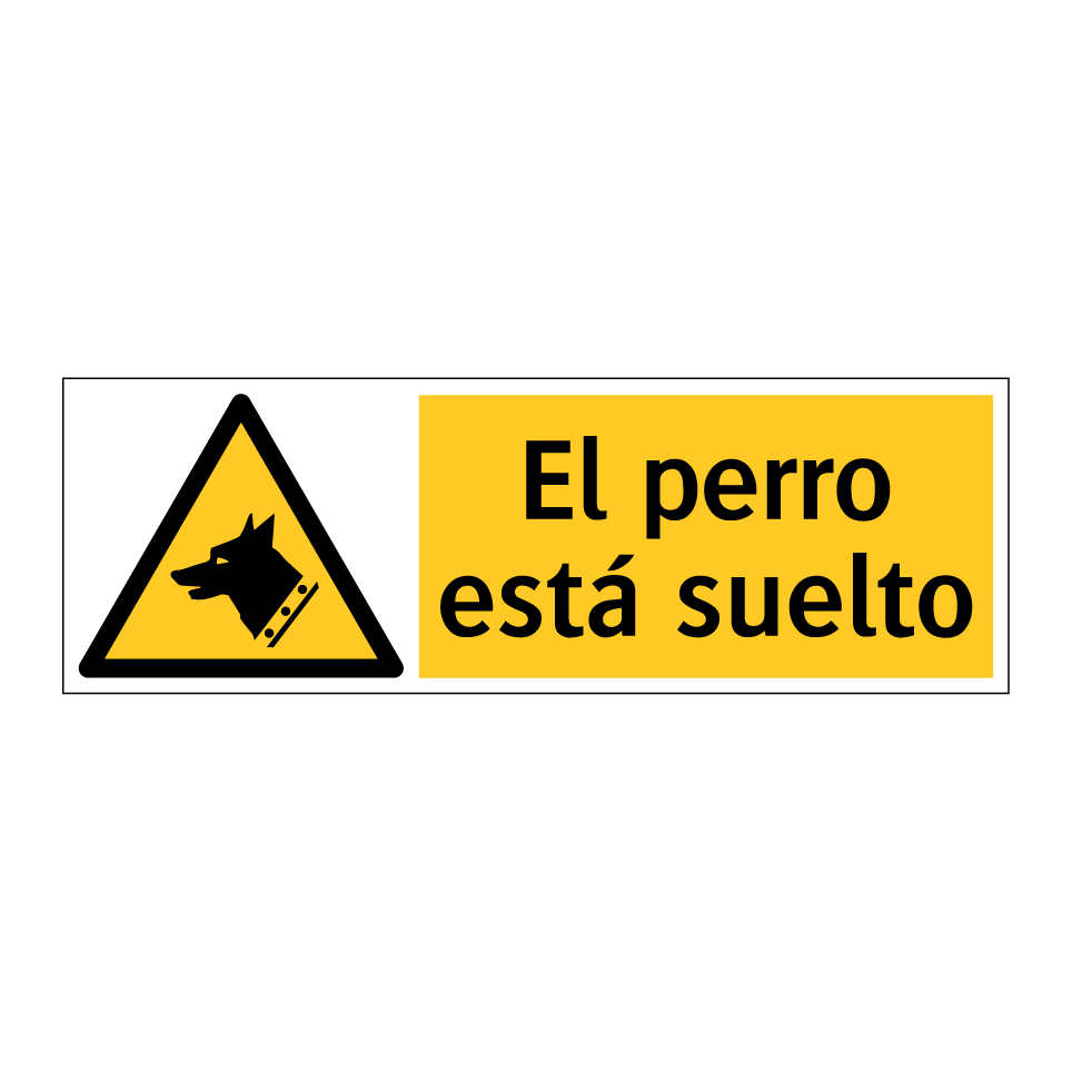 El perro está suelto