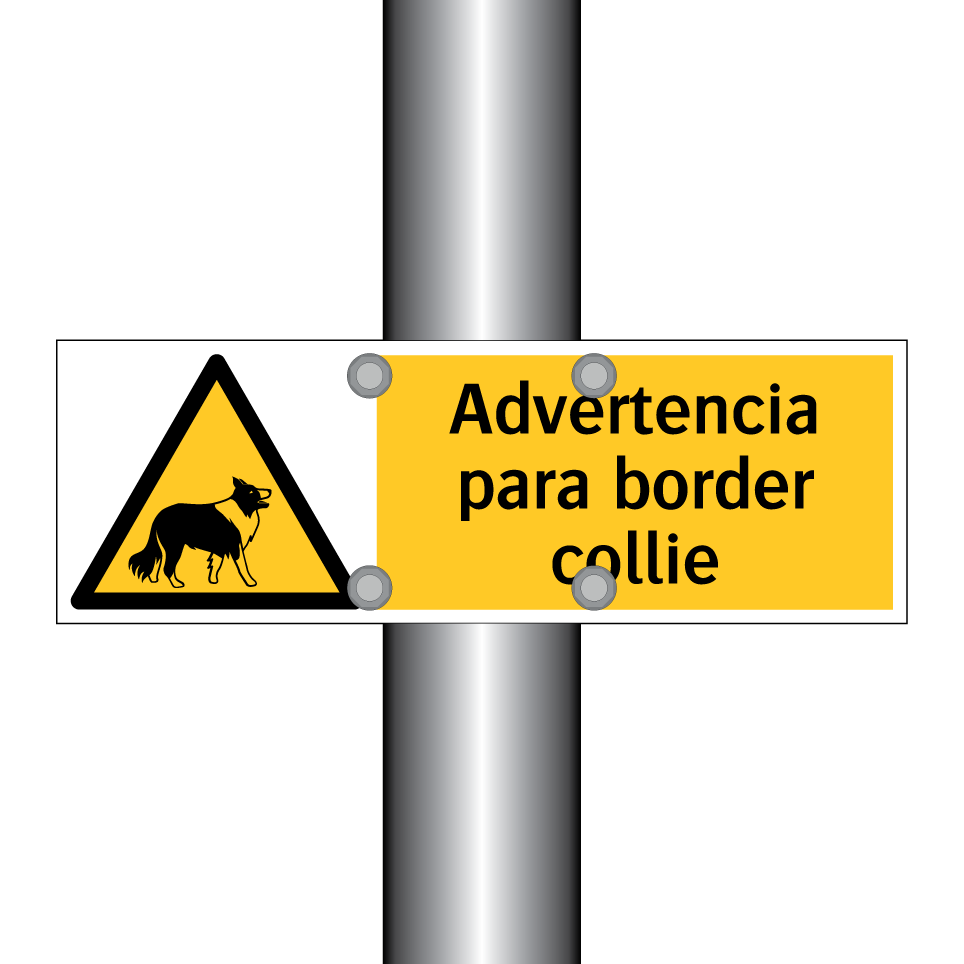 Advertencia para border collie