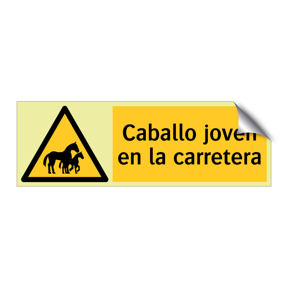 Caballo joven en la carretera