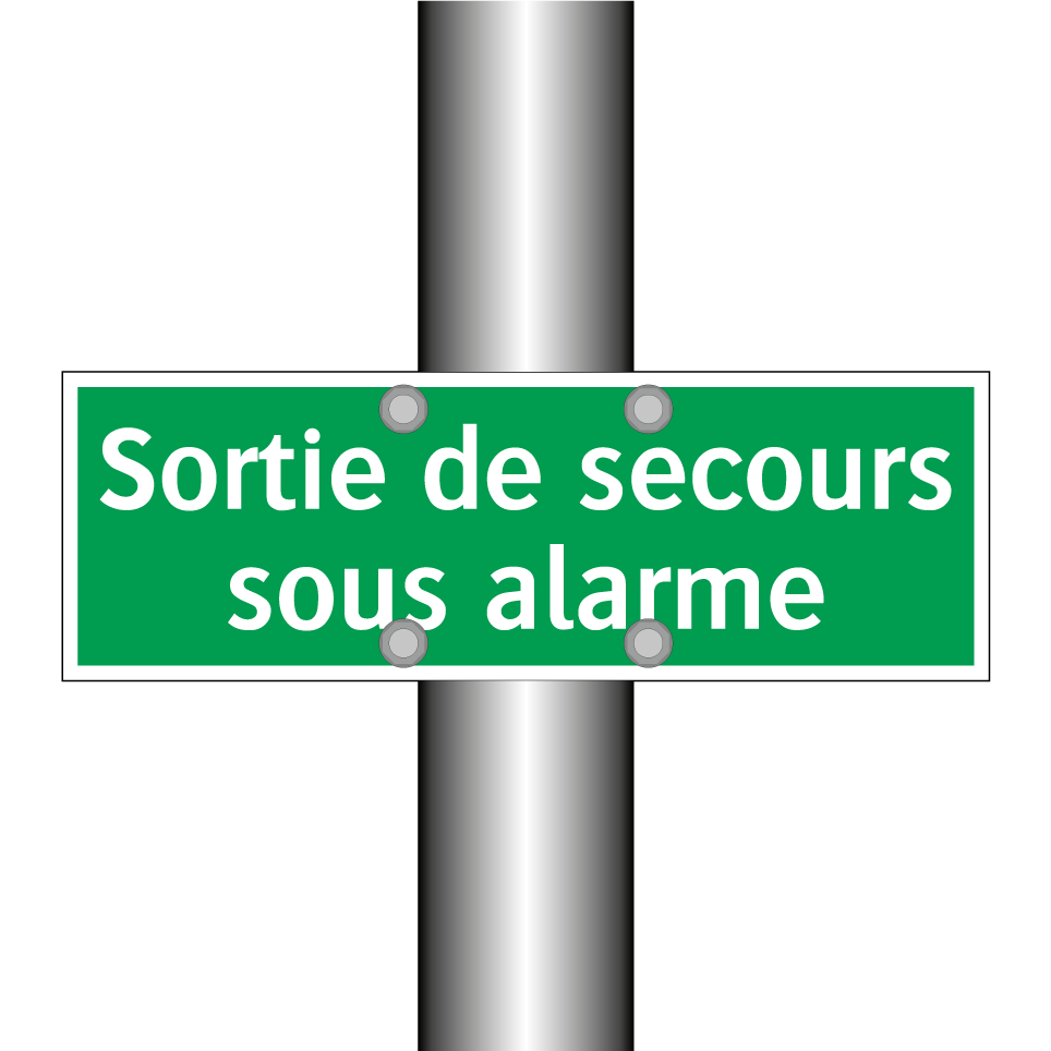 Sortie de secours sous alarme