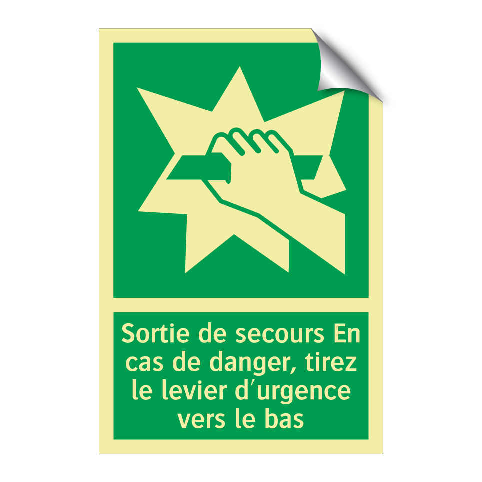 Sortie de secours En cas de danger, tirez le levier d'urgence vers le bas