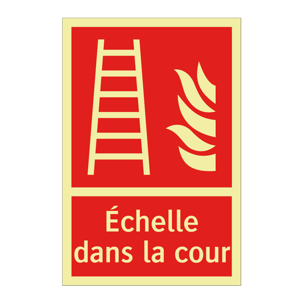 Échelle dans la cour