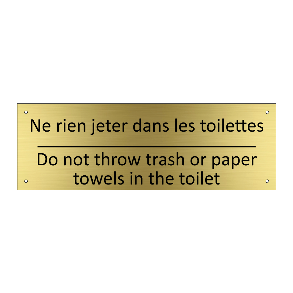 Ne rien jeter dans les toilettes /.../ - Do not throw trash or paper towels  /.../