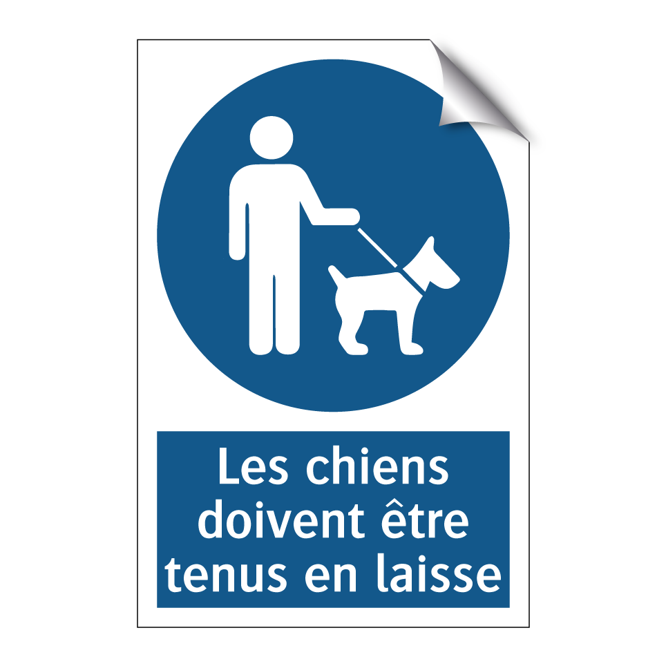 Les chiens doivent être tenus en laisse
