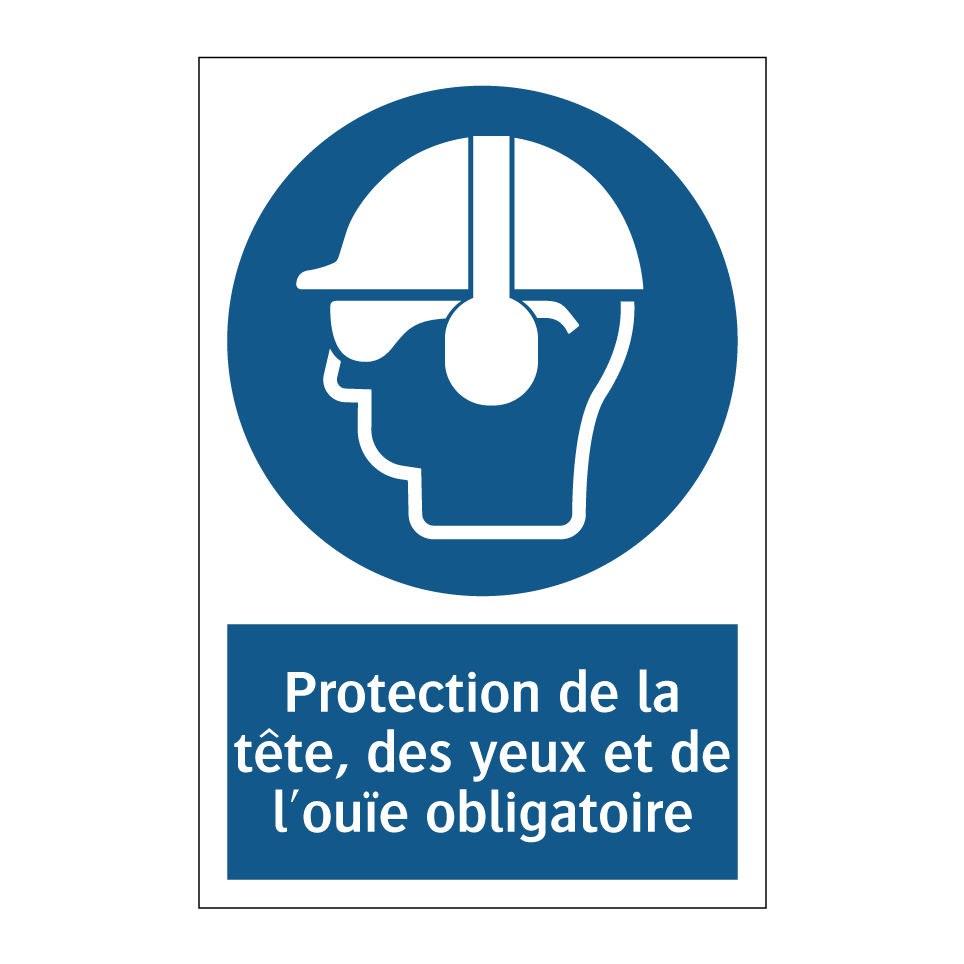 Protection de la tête, des yeux et de l'ouïe obligatoire