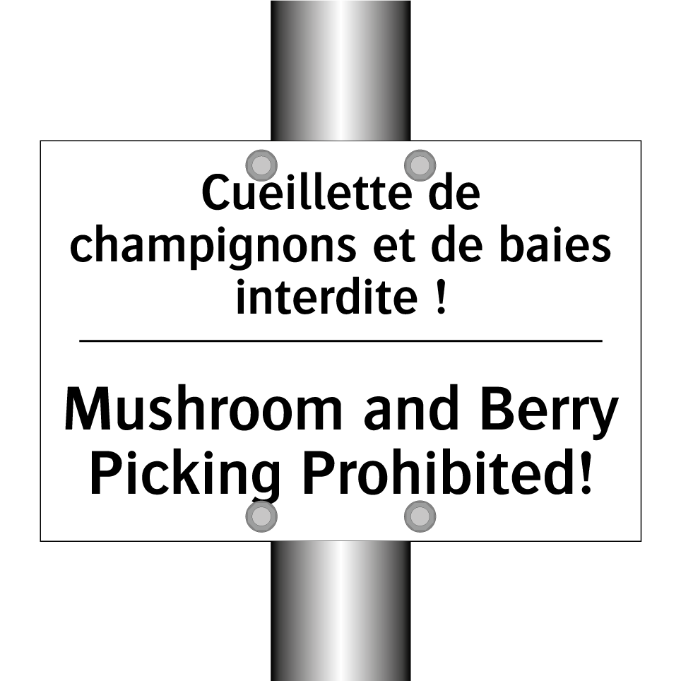 Cueillette de champignons et de  /.../ - Mushroom and Berry Picking Prohibited! /.../