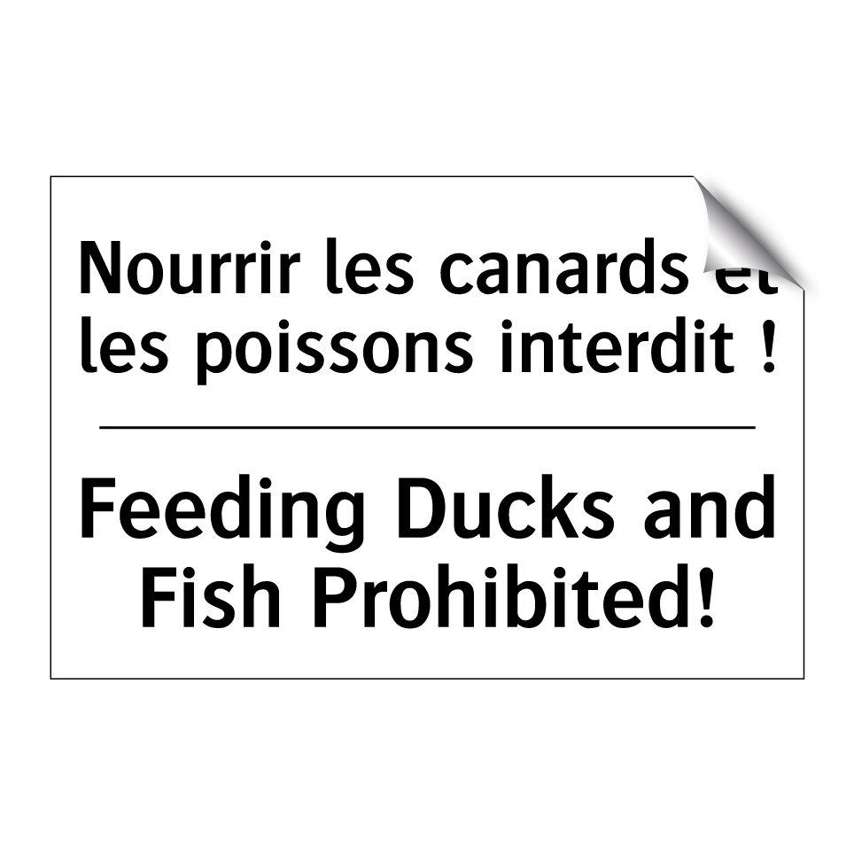 Nourrir les canards et les poissons  /.../ - Feeding Ducks and Fish Prohibited! /.../