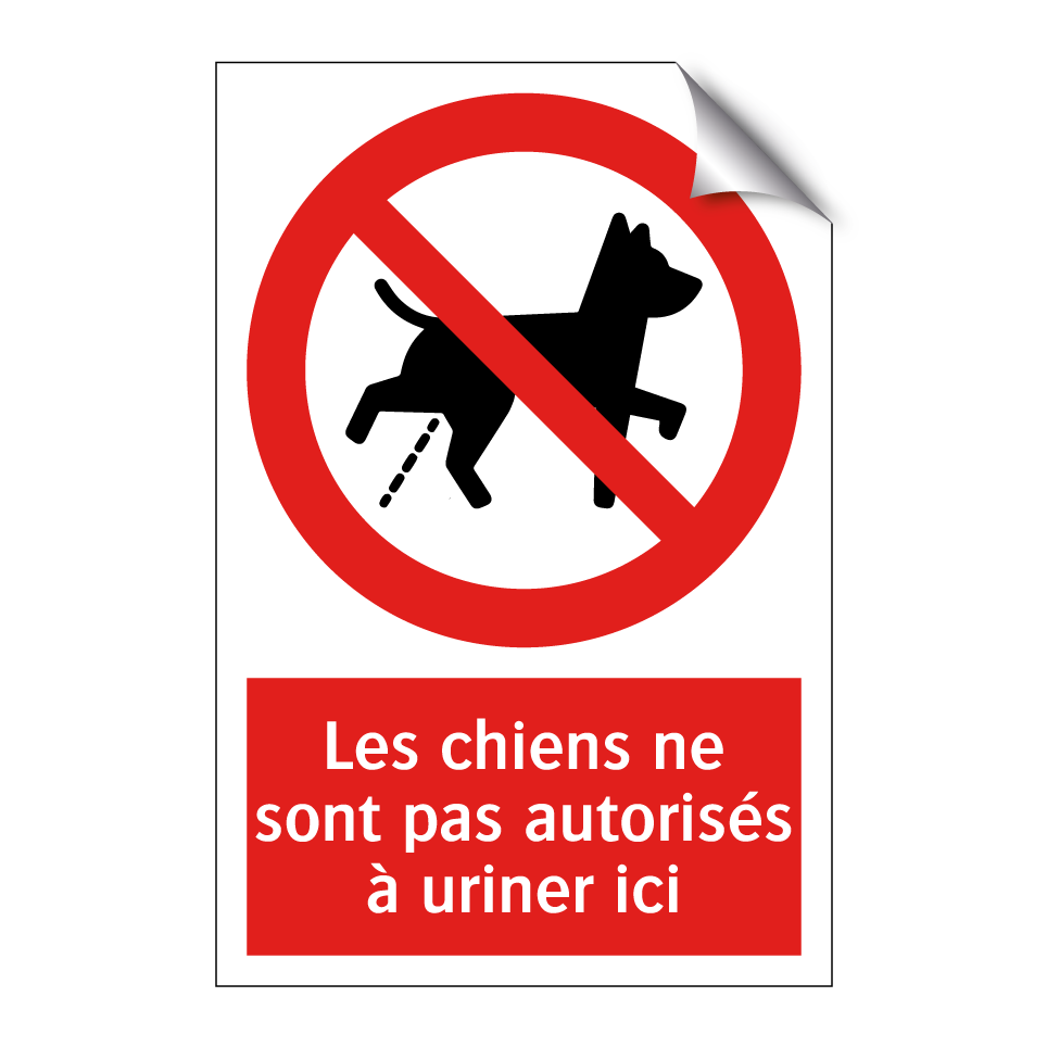 Les chiens ne sont pas autorisés à uriner ici